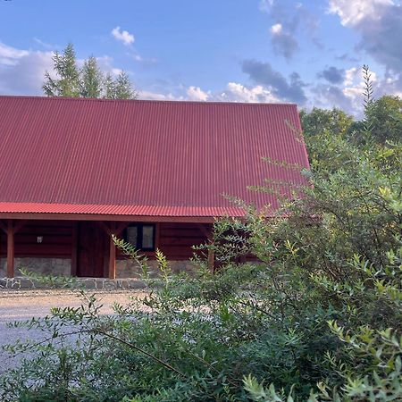 Apartamento Pegazowa Wola Cisna Exterior foto