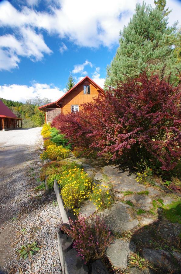 Apartamento Pegazowa Wola Cisna Exterior foto